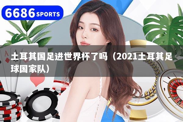 土耳其国足进世界杯了吗（2021土耳其足球国家队）