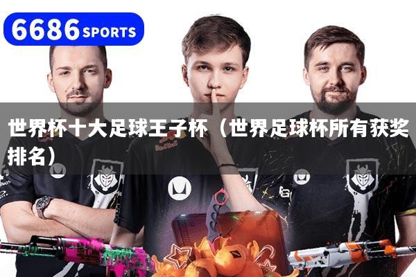 世界杯十大足球王子杯（世界足球杯所有获奖排名）